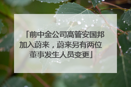 前中金公司高管安国邦加入蔚来，蔚来另有两位董事发生人员变更